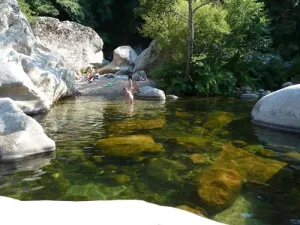 Camping - Porto - Corse - Les Oliviers