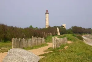 Camping - Saint-Clément-des-Baleines - Poitou-Charentes - Les Pérouses