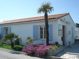 Camping - Saint-Clément-des-Baleines - Poitou-Charentes - Les Pérouses