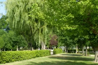 Camping - Vendays-Montalivet - Aquitaine - Les Peupliers
