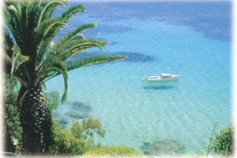 Camping - Argelès-sur-Mer - Languedoc-Roussillon - Les Pingouins