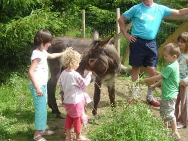 Camping - Carnac - Bretagne - Les Pins
