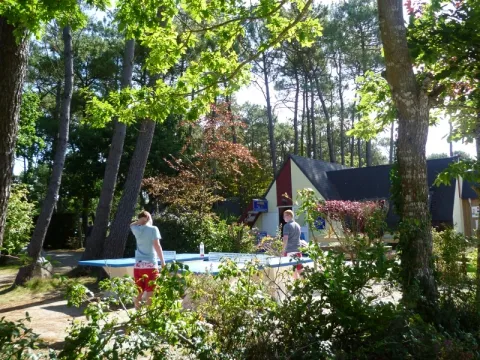 Camping - Crozon - Bretagne - Les Pins