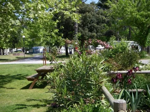 Camping - Labenne - Aquitaine - Les Pins Bleus