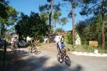 Camping - Les Mathes-La Palmyre - Poitou-Charentes - Les Pins de la Coubre