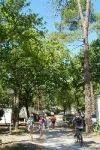 Camping - Les Mathes-La Palmyre - Poitou-Charentes - Les Pins de la Coubre