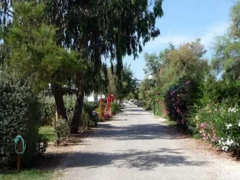 Camping - Hyères - Provence-Alpes-Côte d'Azur - Les Pins Maritimes