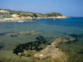 Camping - Hyères - Provence-Alpes-Côte d'Azur - Les Pins Maritimes