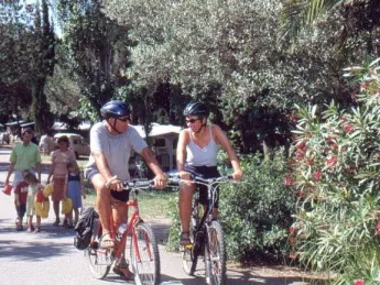 Camping - Fréjus - Provence-Alpes-Côte d'Azur - Les Pins Parasols