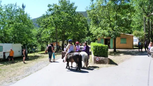 Camping - Mialet - Languedoc-Roussillon - Les Plans