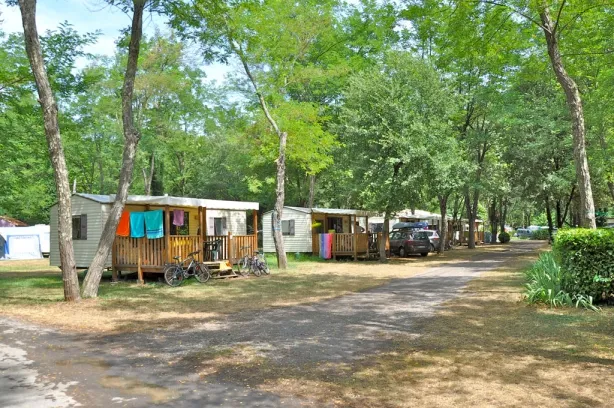 Camping - Mialet - Languedoc-Roussillon - Les Plans