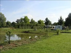 Camping - Charny - Bourgogne - Les Platanes
