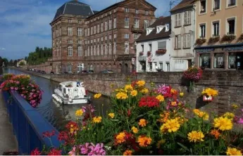 Camping - Saverne - Alsace - Les Portes d'Alsace