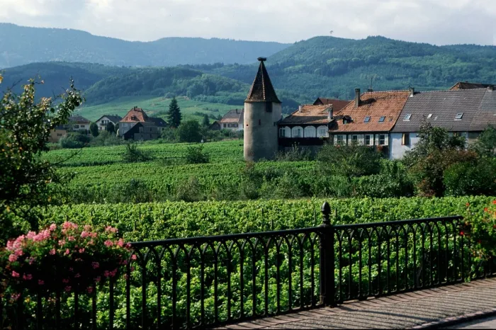 Camping - Saverne - Alsace - Les Portes d'Alsace