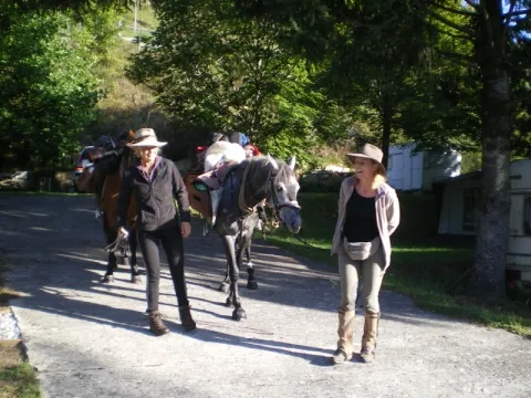 Camping - Saint-Sauveur-en-Rue - Rhône-Alpes - Les Reignières