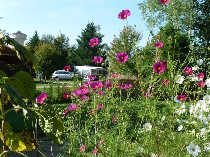 Camping - Chavannes-sur-Reyssouze - Rhône-Alpes - Les Ripettes
