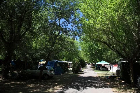 Camping - Millau - Midi-Pyrénées - Les Rivages