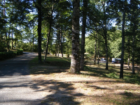 Camping - Saint-Gérons - Auvergne - Les Rives du Lac - Image #3