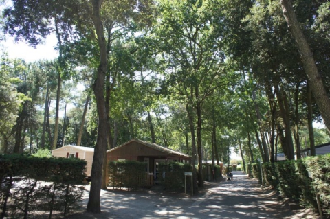 Camping - Saint-Brévin-les-Pins - Pays de Loire - Les Rochelets - Image #4