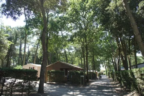 Camping - Saint-Brévin-les-Pins - Pays de Loire - Les Rochelets