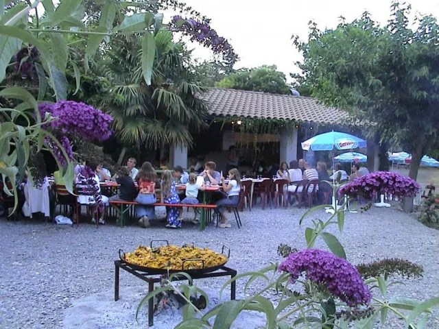 Camping - Vogüé - Rhône-Alpes - Les Roches