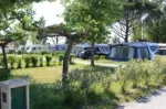 Camping Les Romarins - Agde
