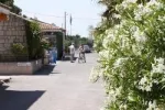 Camping - Agde - Languedoc-Roussillon - Les Romarins