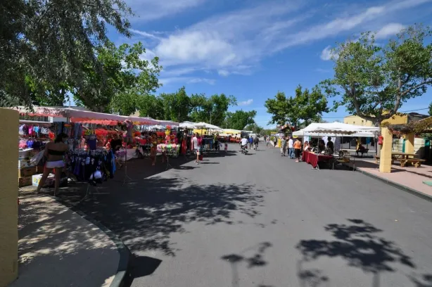 Camping - Palavas-les-Flots - Languedoc-Roussillon - Les Roquilles