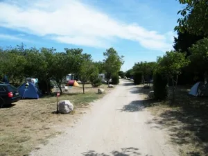 Camping - Arles - Provence-Alpes-Côte d'Azur - L'Arlésienne