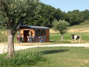 Camping - Estipouy - Midi-Pyrénées - Les Roulottes d'Escapa