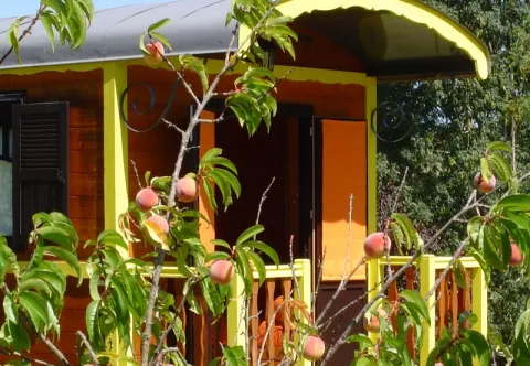 Camping - Saint-Salvy - Aquitaine - Les Roulottes du Sud Ouest