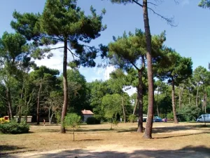 Camping - Les Mathes-La Palmyre - Poitou-Charentes - Les Sables de Cordouan