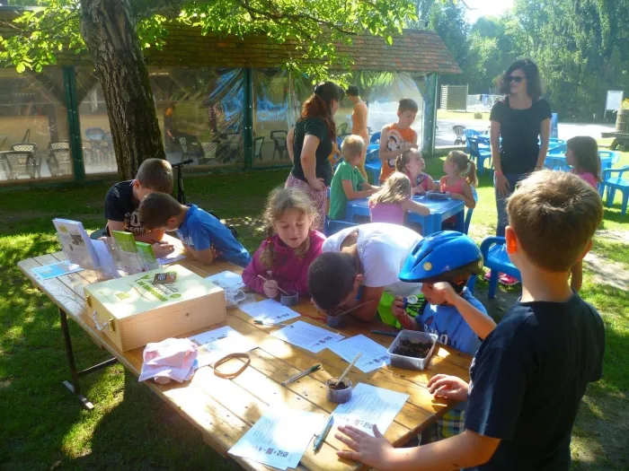 Camping - Cheverny - Grand Centre - Les Saules