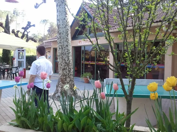 Camping - Saint-Jean-du-Gard - Languedoc-Roussillon - Les Sources