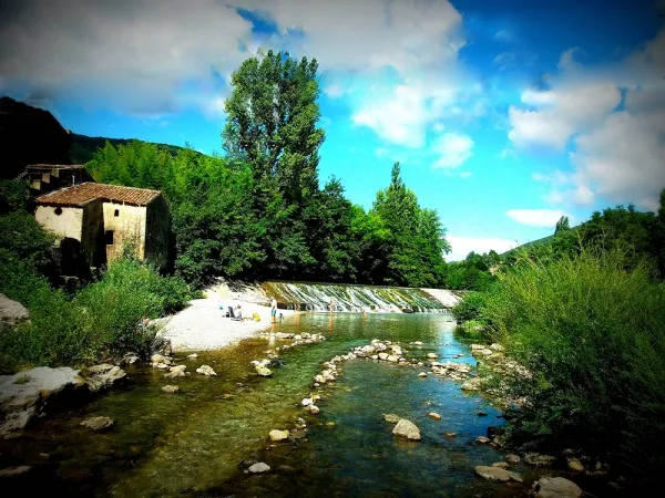 Camping - Saint-Jean-du-Gard - Languedoc-Roussillon - Les Sources