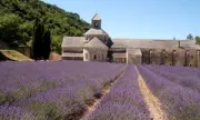 Camping - Gordes - Provence-Alpes-Côte d'Azur - Les Sources