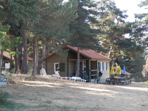 Camping - Langogne - Languedoc-Roussillon - Les Sous Bois du Lac - Image #4