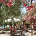Camping - Villes-sur-Auzon - Provence-Alpes-Côte d'Azur - Les Verguettes