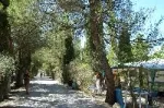 Camping - Villes-sur-Auzon - Provence-Alpes-Côte d'Azur - Les Verguettes