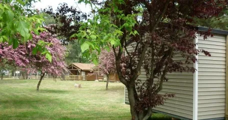 Camping - Paimboeuf - Pays de Loire - L'Estuaire