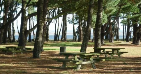 Camping - Paimboeuf - Pays de Loire - L'Estuaire