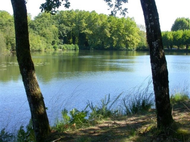 Camping - Saint-Paul-lès-Dax - Aquitaine - L'Etang d'Ardy - Image #1