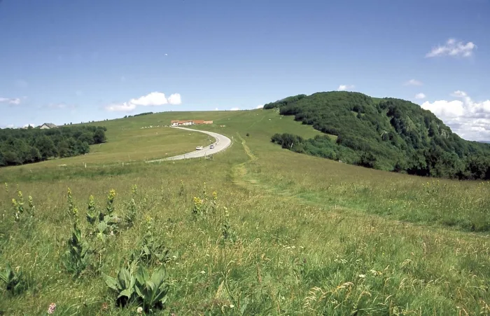 Camping - Belfort - Franche-Comté - L'Etang des Forges