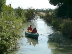 Camping - Chaillé-les-Marais - Pays de Loire - L'Ile Cariot