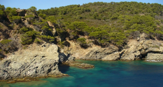 Camping - Hyères - Provence-Alpes-Côte d'Azur - L'Ile d'Or - Image #22