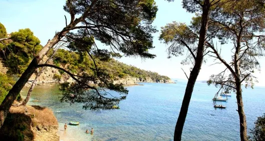 Camping - Saint-Raphaël - Provence-Alpes-Côte d'Azur - L'Ile d'Or