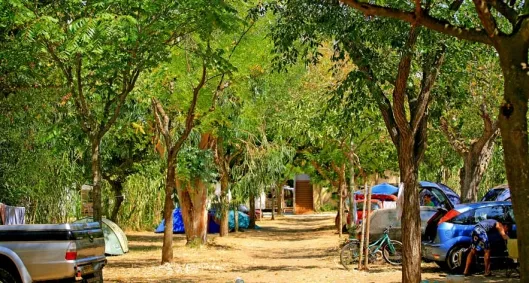 Camping - Saint-Raphaël - Provence-Alpes-Côte d'Azur - L'Ile d'Or