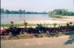 Camping - Les Ponts-de-Cé - Pays de Loire - l'Île du Château