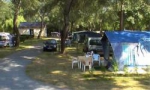 Les Ponts-de-Cé - 2 - campings