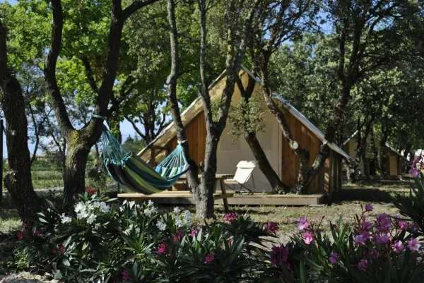 Camping - Richerenches - Provence-Alpes-Côte d'Azur - Lodges en Provence